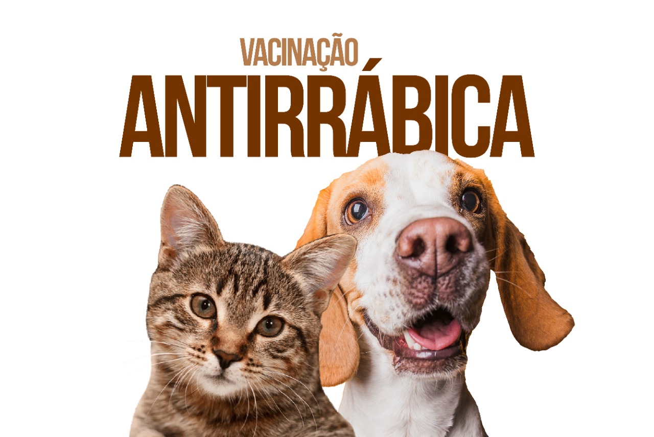 Vacinação antirrábica para cães e gatos começa nesta quarta - Prefeitura  Municipal de Cabo Frio